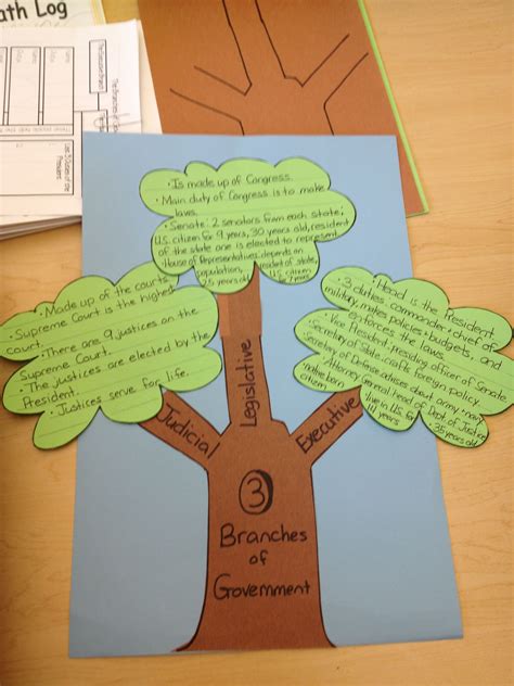 3 Branches Of Government Project