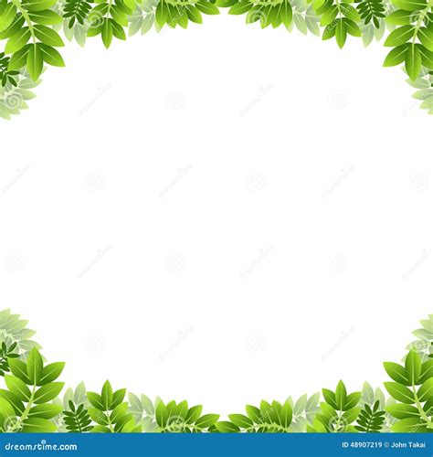 Leaf Border stock vector. Illustration of foliage, white - 48907219