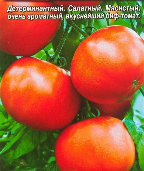 Семена Томат Медвежья кровь ®: описание сорта, фото - купить с ...