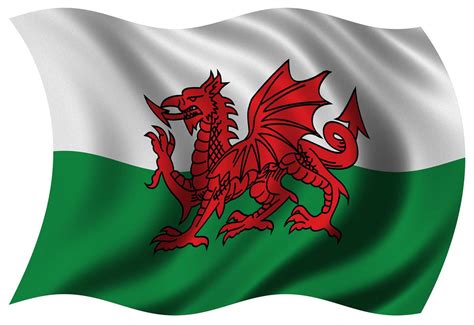 Welsh Speaking Educational Psychologist Required