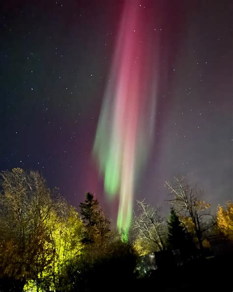 Kait Flynn | See the rest on Playboy you won’t regret it. Link in bio 🖤