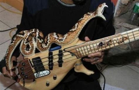 Crazy Guitar Shapes (27 pics) - Izismile.com