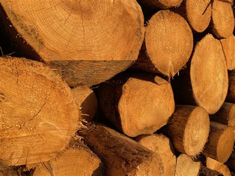 Wood Roden Get - Free photo on Pixabay - Pixabay