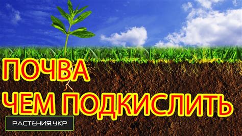 Основні типи грунтів: мінуси і плюси конкретних ґрунтів