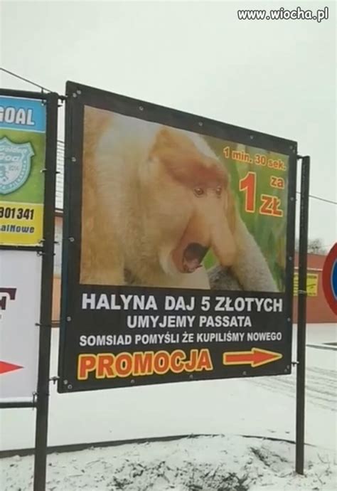 Dobra reklama - wiocha.pl absurd 1564050