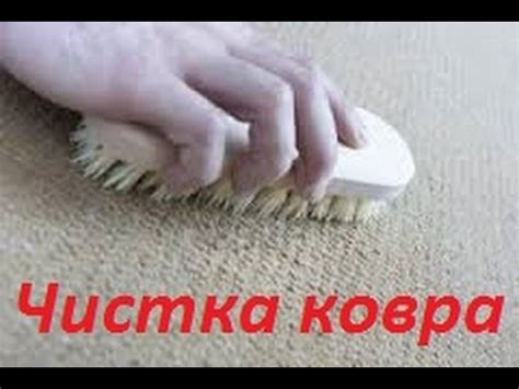 Как быстро и эфективно почистить ковер , палас, в домашних условиях ...