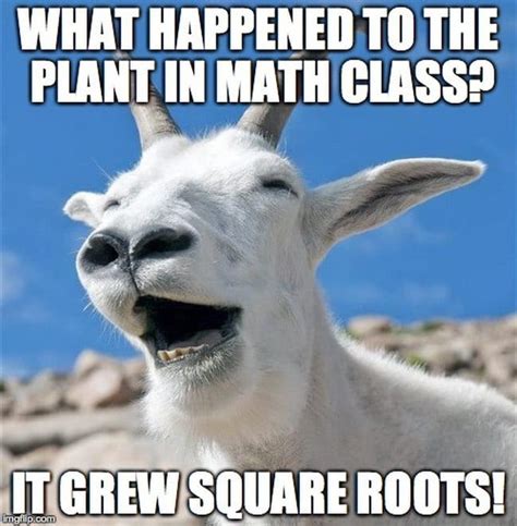 18 Math Teacher Memes That Just Make Sense - We Are Teachers