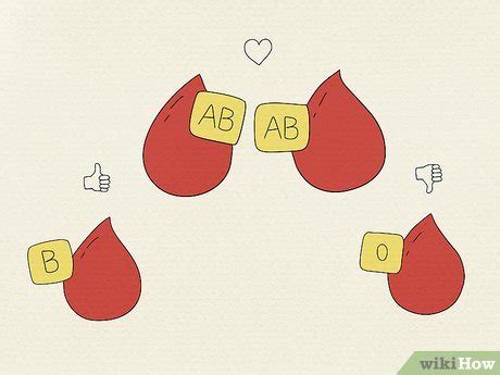 AB Blood Type Personality: Strengths, Compatibility & More