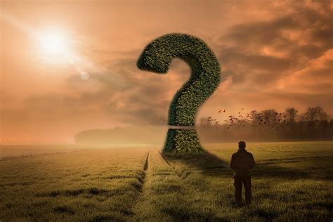 Question Man Problem - Free photo on Pixabay - Pixabay