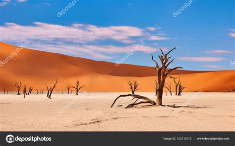 Namibian desert landscape Stock Photo by ©LuaAr 312115172