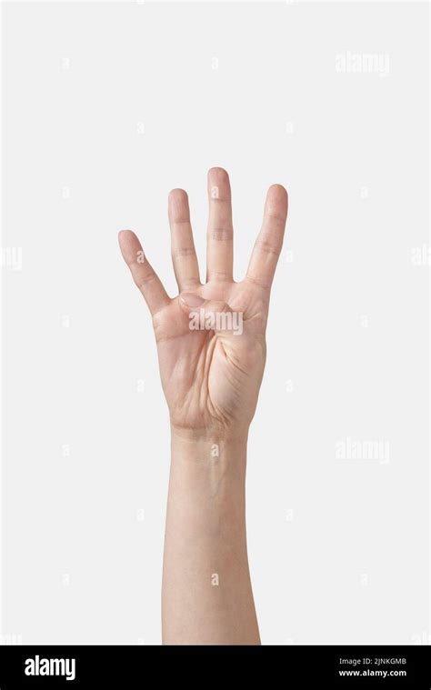 four, counting, gesturing, nonverbale kommunikation, fours, hand sign ...