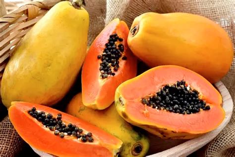 O Mamão É Bom Para Quê - Benefícios do mamão na sua dieta! – Dr. Tulio Assis