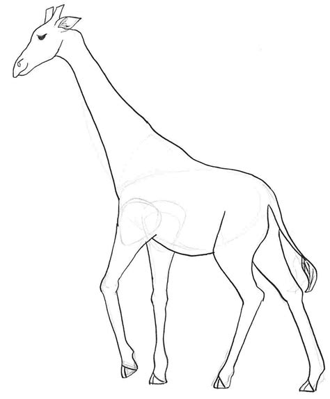 Giraffe Sketch Easy at PaintingValley.com | Explore collection of ...