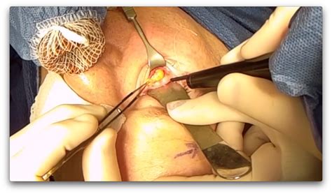 adam scheiner md reviews 7