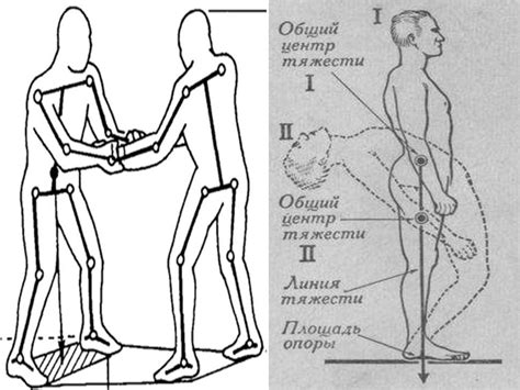 Биомеханика тела. Профессиональная защита при транспортировке больных ...