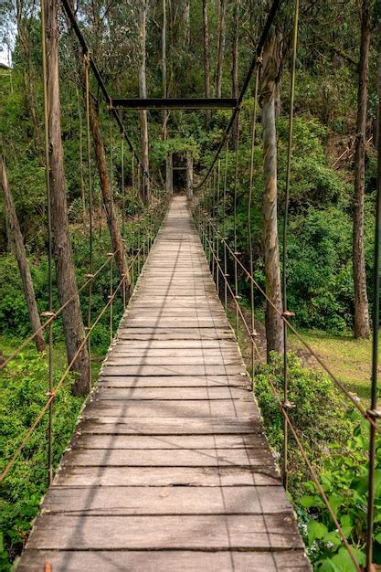 Premium Photo | Hanging wooden bridge in the forest