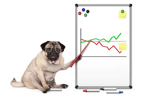 investment reviews    spot  dog funds magee gammon