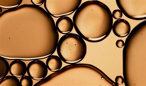 Scientific Journals Explain How A Gut Health Mushroom Works - RYZE Superfoods