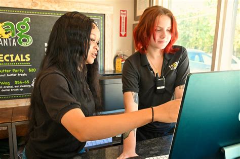 Team Lead - WAG ATLANTA