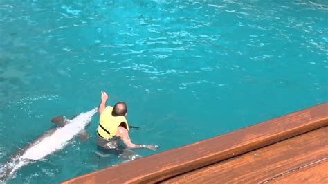 Man Swims With Dolphin and Loses Swim Trunks - YouTube