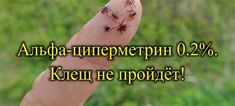 Альфациперметрин от клещей: инструкция по применению средства