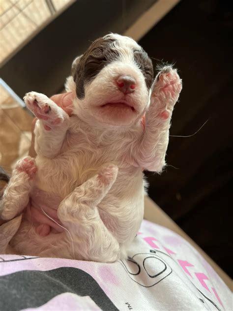 Meteorologists explain why the hillside weather is shifting so fast 1