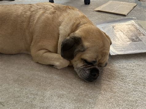 MoxyMary on Twitter: "https://t.co/2Eus91lIa4" / Twitter