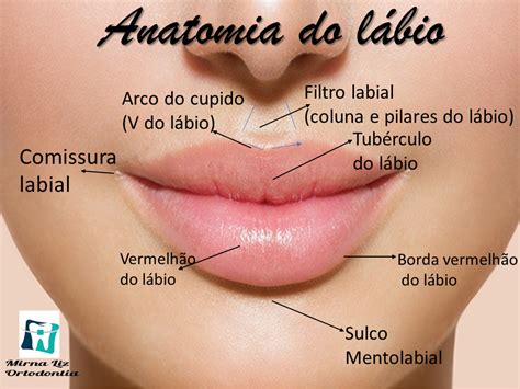 Labios Vermelho Por Dentro