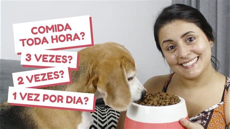 Cachorro Come Quantas Vezes Por Dia - Quantas vezes o cão deve comer por dia? - YouTube