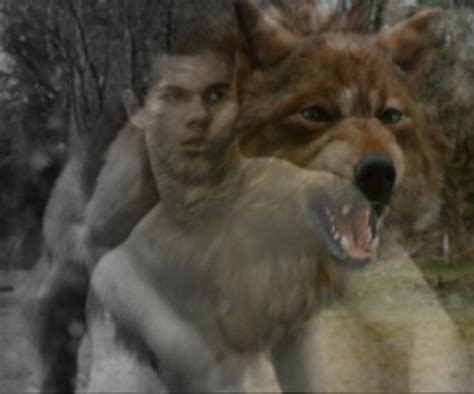 Jacob black wolf form - Twilight Series Fan Art (6635622) - Fanpop