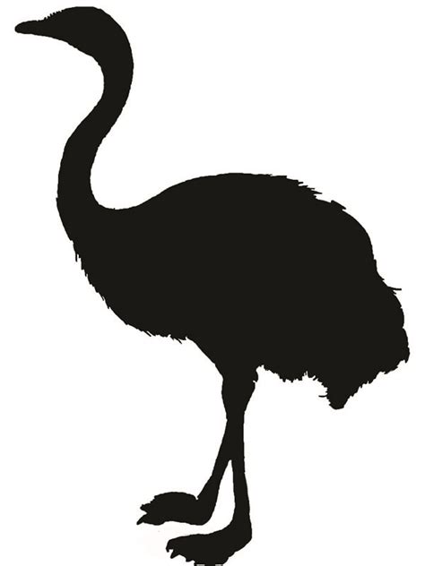 Greater Rhea - WildArk