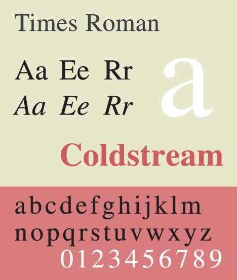 Times New Roman | это... Что такое Times New Roman?