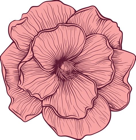Desert rose clipart design illustration 43860235 PNG