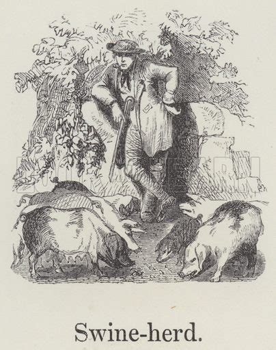 Swineherd stock image | Look and Learn