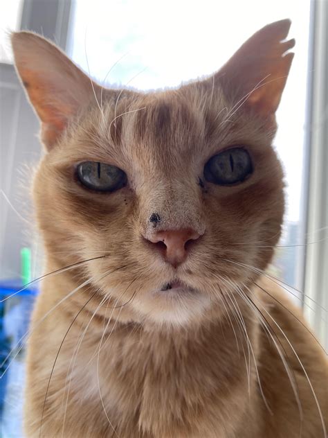 866 best u/melthewhale images on Pholder | U Melthewhale, Real Girls