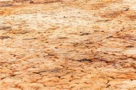 Ground Stock Photos, Images and Backgrounds for Free Download