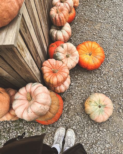 Kadie (@kadiekai) • Threads, Say more