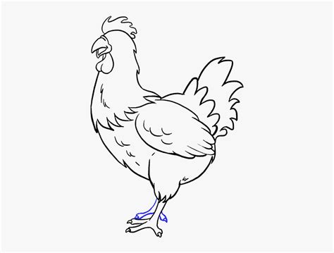 How To Draw Chicken - Chicken Head Drawing Easy, HD Png Download - kindpng
