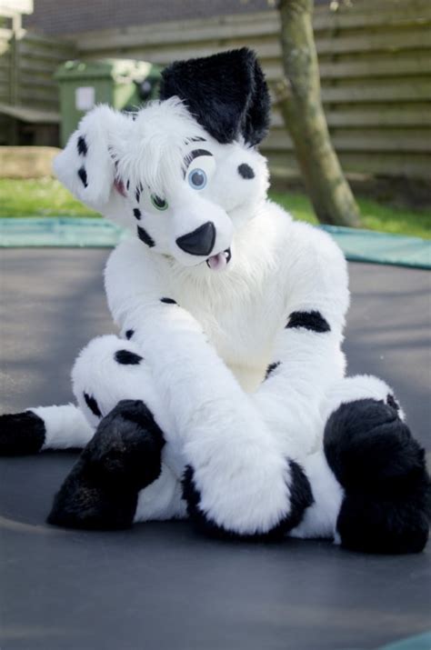 Think Furry Thoughts • thefuzzymuse: puppy on a trampeline by...