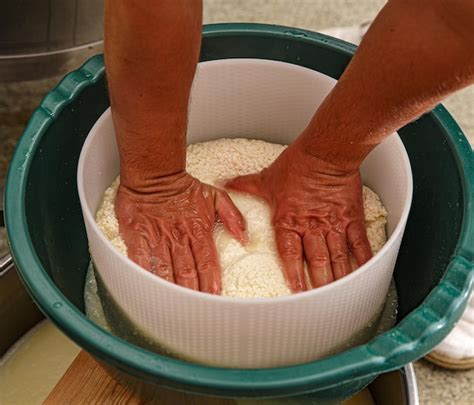 Premium Photo | Freshly fermented cheese