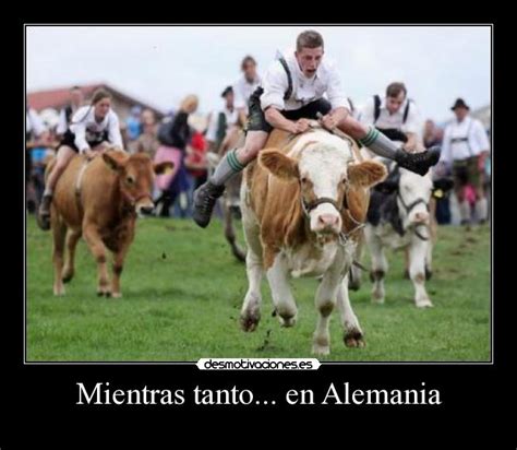Imágenes y Carteles de THTH | Desmotivaciones