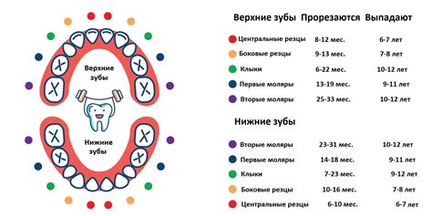Коли і в якому порядку випадають молочні зуби