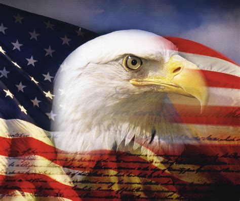 🔥 [40+] Bald Eagle American Flag Wallpapers | WallpaperSafari