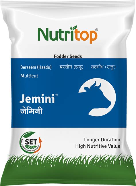 Jemini, Best Berseem Seeds, - Shakti Vardhak Hybrid Seeds Pvt. Ltd.