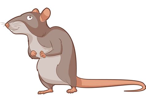 Rat Clipart - Clipart.World