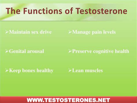 PPT - LOW TESTOSTERONE SYMPTOMS IN WOMEN PowerPoint Presentation, free