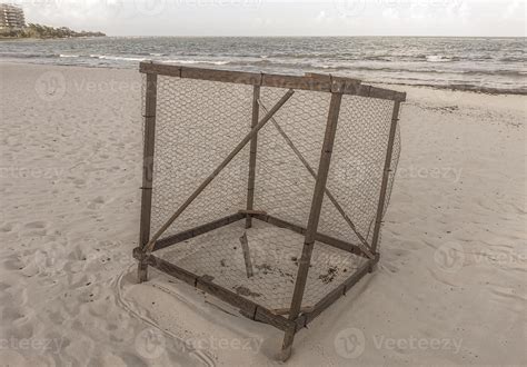 Sea turtle nests in cages protected on the beach Mexico. 49074352 Stock