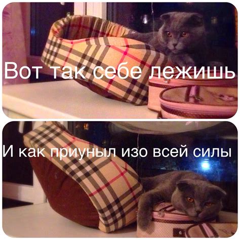 Приуныл | Пикабу