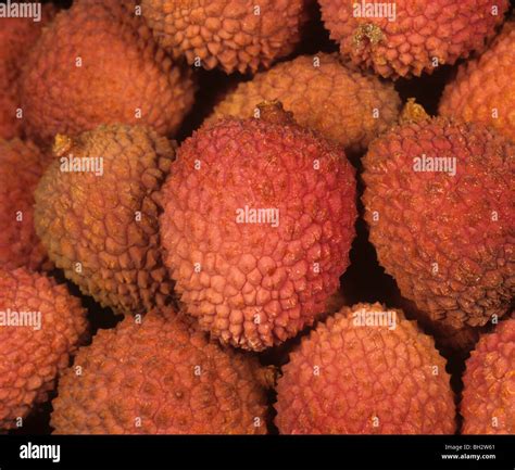 Litchi fruit hi-res stock photography and images - Alamy