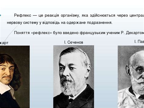 Рефлекси - презентація з психології